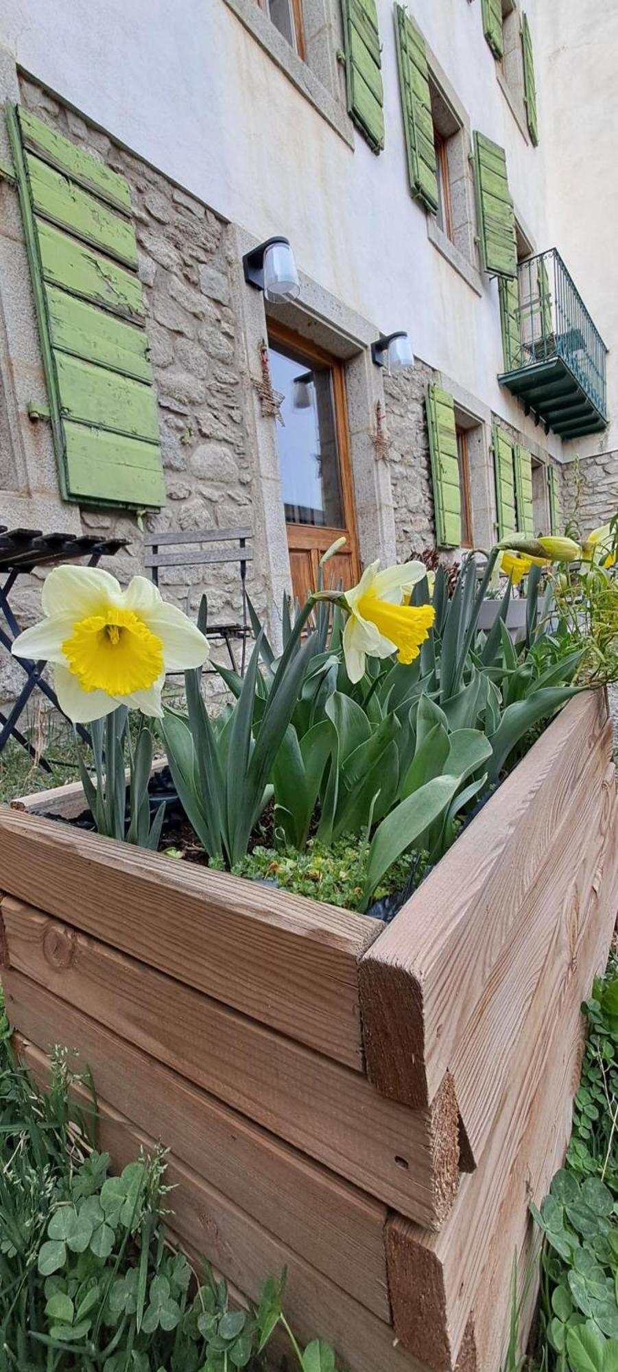 Le Grenier Des Moineaux Bed & Breakfast Font-Romeu-Odeillo-Via Exterior photo